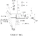cavity.webp