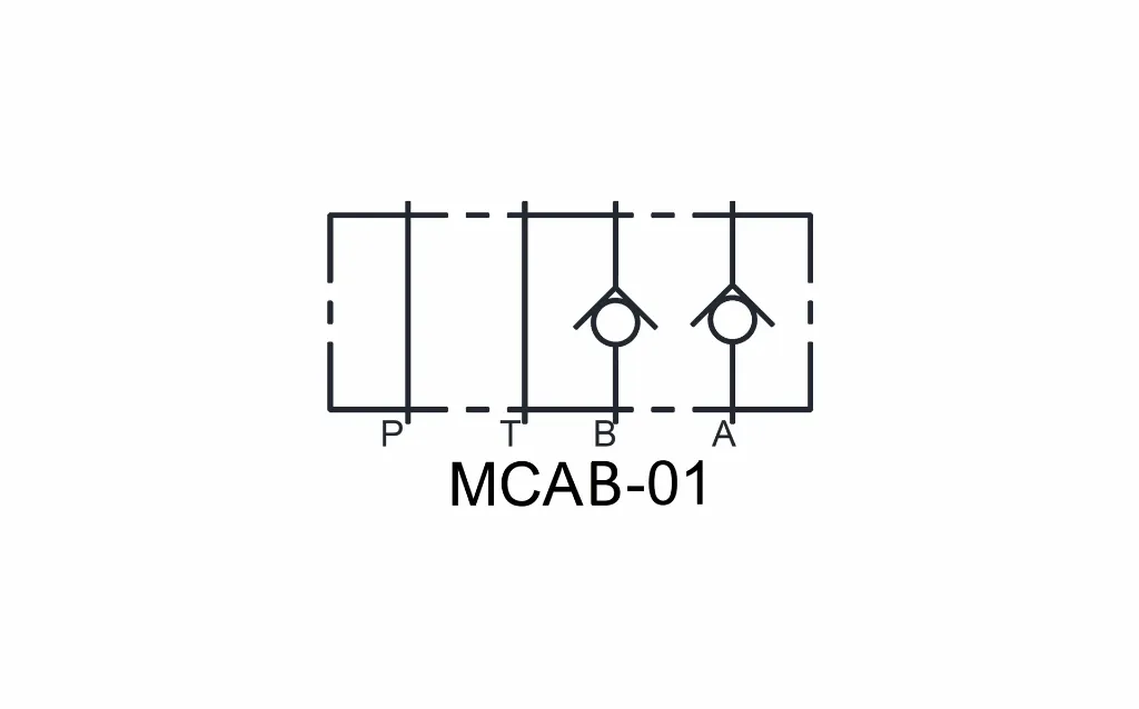 d5.webp